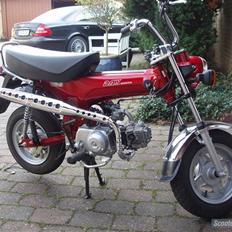 Honda dax