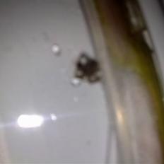 Aprilia sonic  #kørte galt#