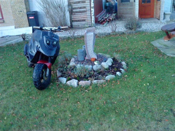 PGO Hot 50// FØR billede 18