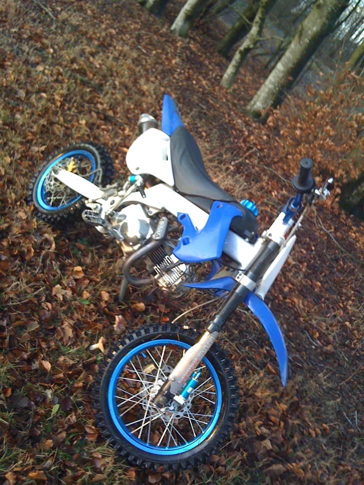 Apollo Orion   Pro 29  billede 1