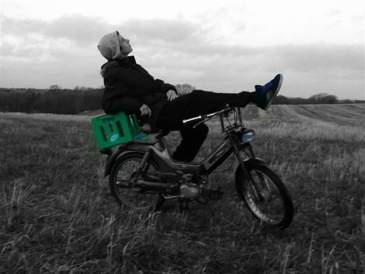 Puch maxi kL E50 billede 16