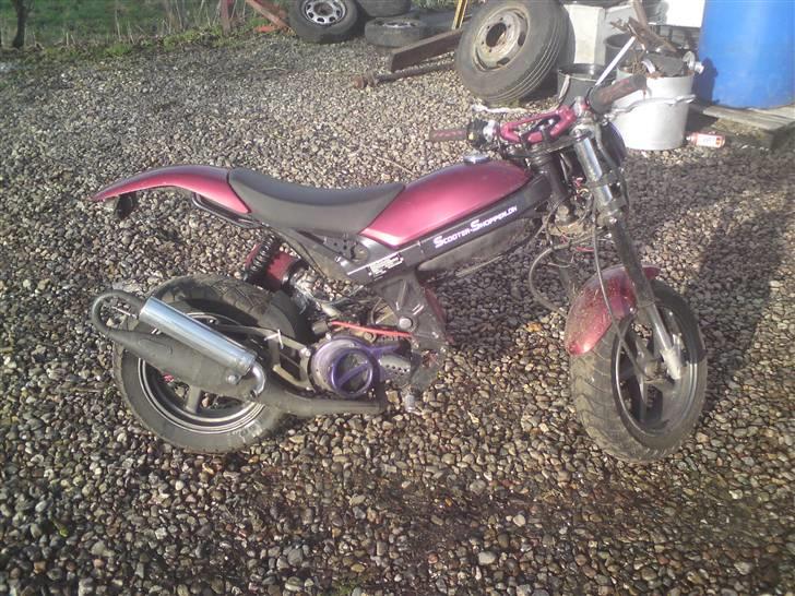 Suzuki street Rox - Byttet ( : billede 11