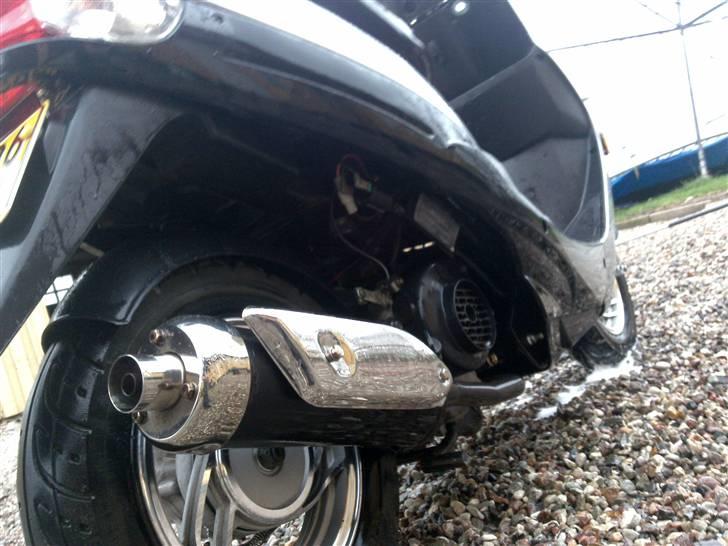 Peugeot v-clic billede 6