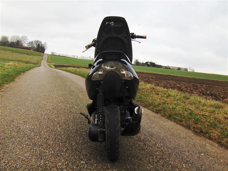 Aprilia Sonic Evo LC billede 8