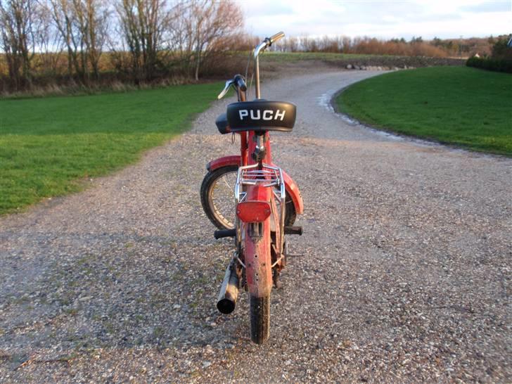 Puch Maxi K billede 4