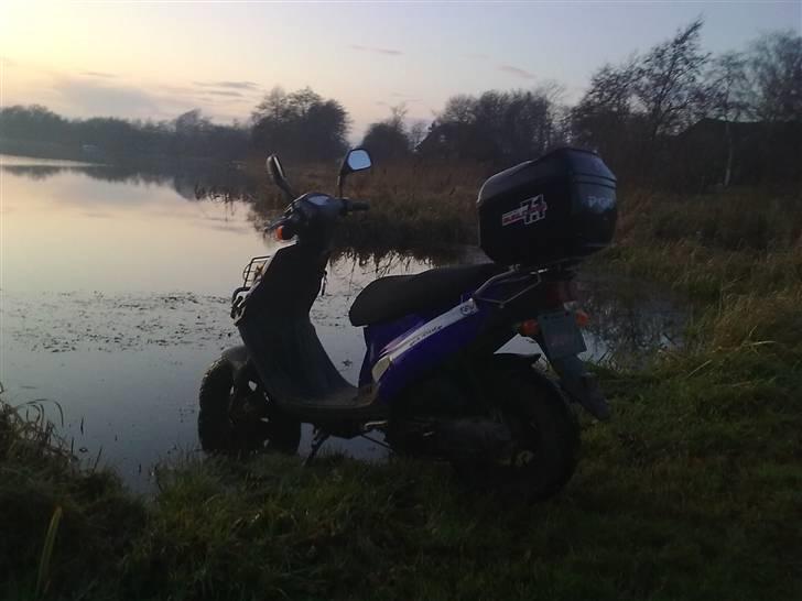 PGO Hot 50 -  Solgt Savnet! billede 11