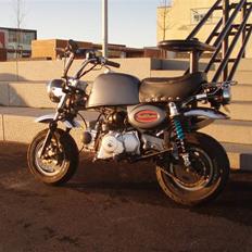 Skyteam Gorilla Før 