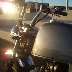 Skyteam Gorilla Før 