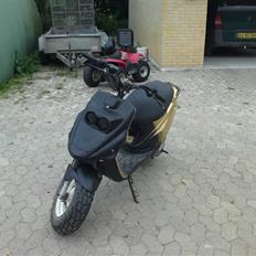 PGO hot 50  (big-max)