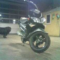 Peugeot speedfight2