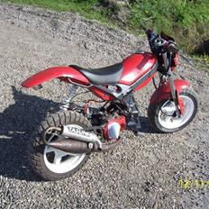 Suzuki street byttet