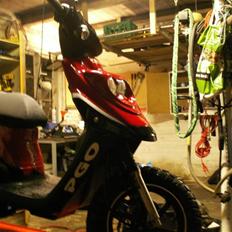 PGO hot 50 byttet til rcr