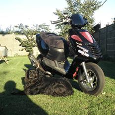 Aprilia Sonic TS 23,76 HK