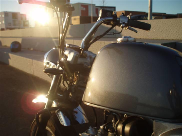 Skyteam Gorilla Før  billede 2