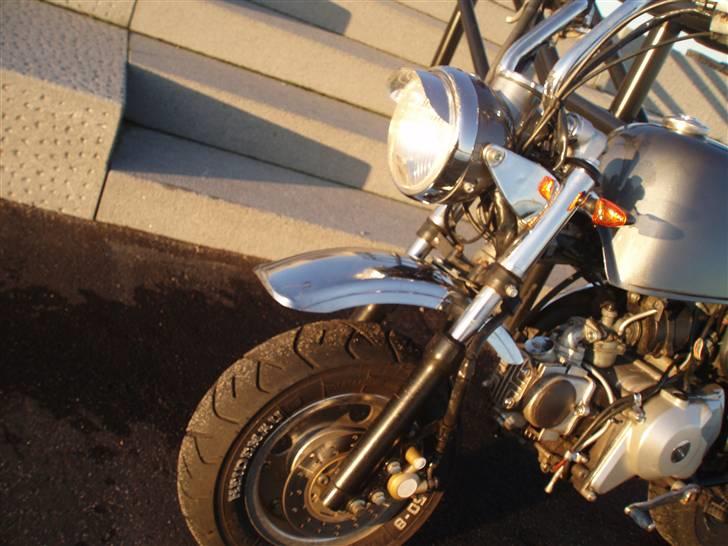 Skyteam Gorilla Før  billede 4