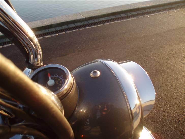 Skyteam Gorilla Før  billede 5