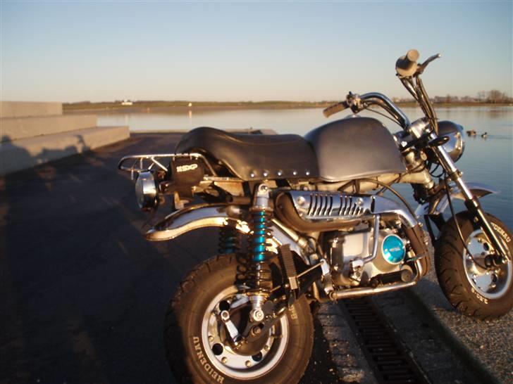 Skyteam Gorilla Før  billede 8