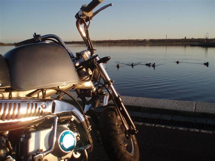 Skyteam Gorilla Før  billede 9