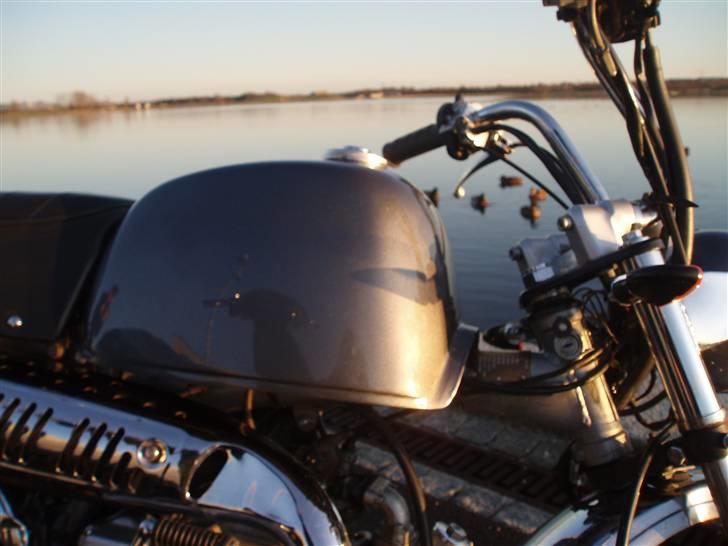 Skyteam Gorilla Før  billede 10