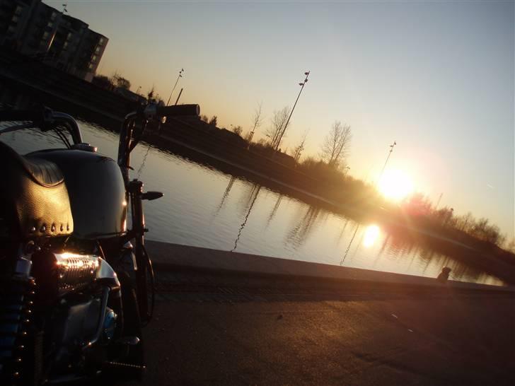 Skyteam Gorilla Før  billede 11