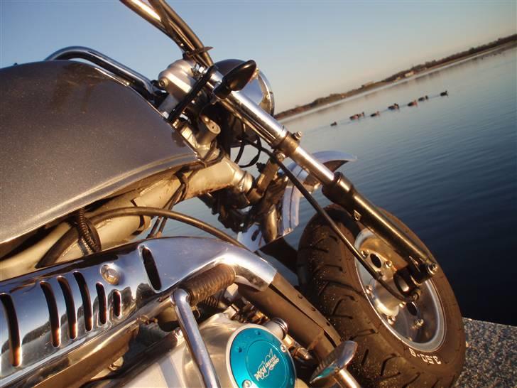 Skyteam Gorilla Før  billede 12