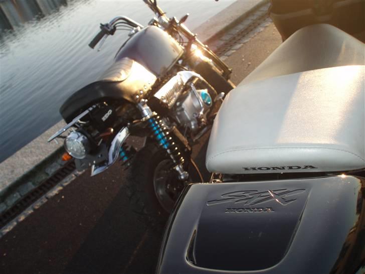 Skyteam Gorilla Før  billede 14