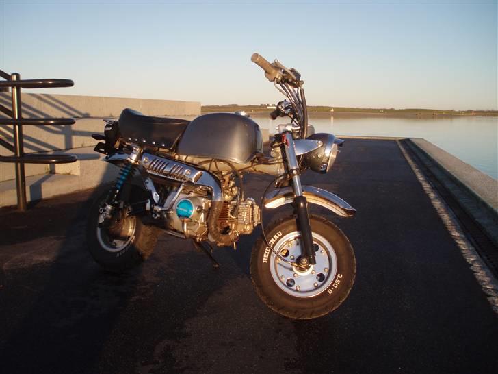 Skyteam Gorilla Før  billede 15