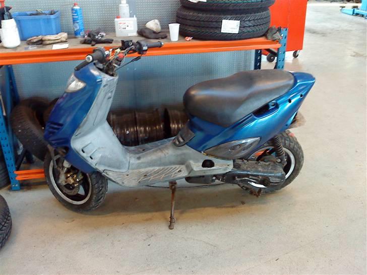 Adly cat 50  billede 3