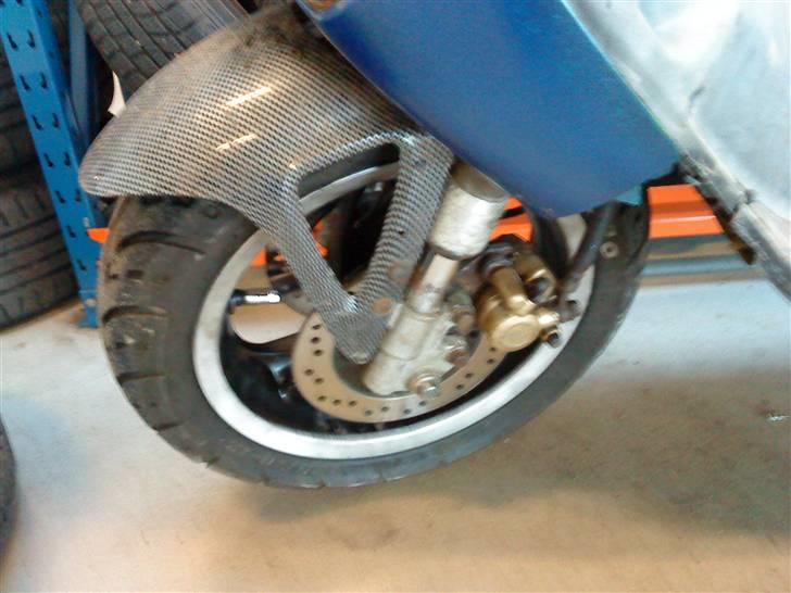 Adly cat 50  billede 4