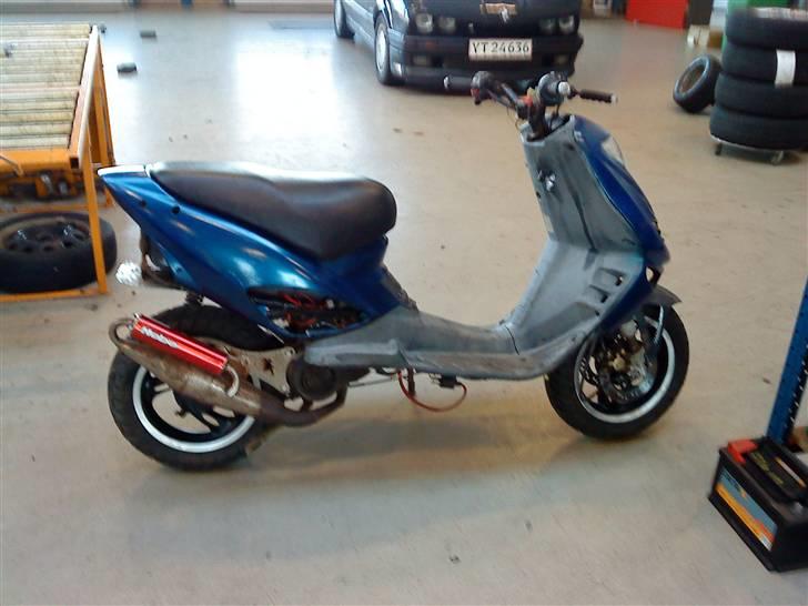 Adly cat 50  billede 5