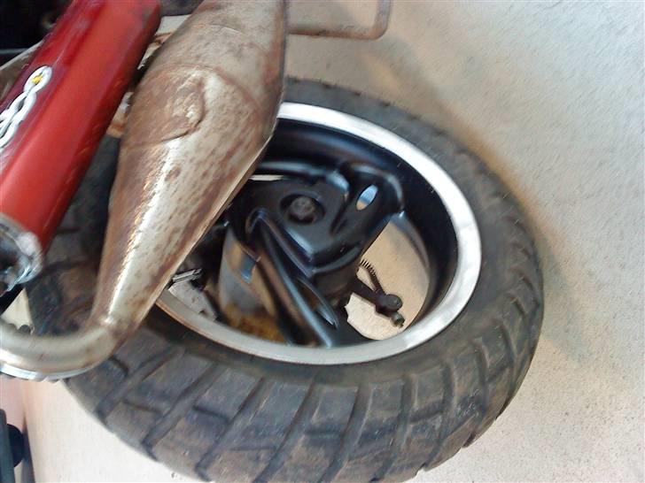 Adly cat 50  billede 6