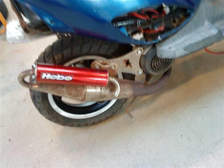 Adly cat 50  billede 7