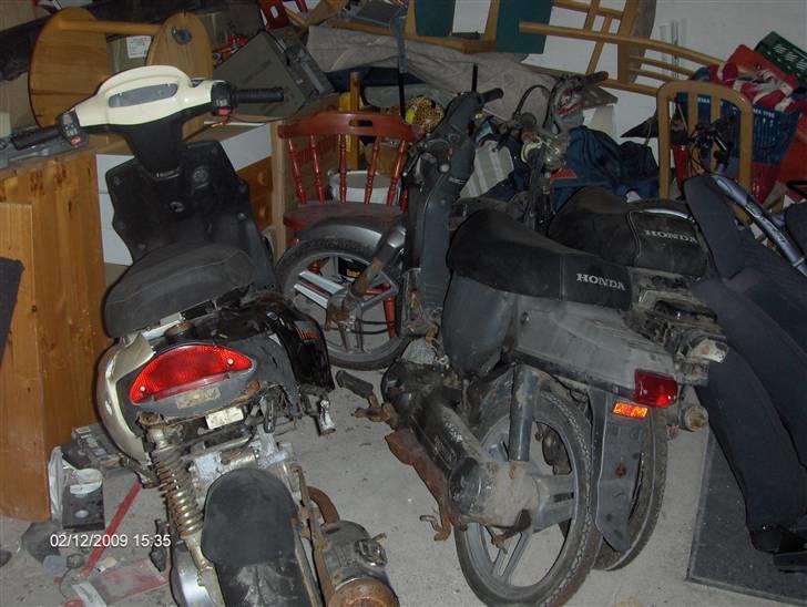 Honda Wallaroo SMIDT UD - Der holder de sammen med Popper billede 1