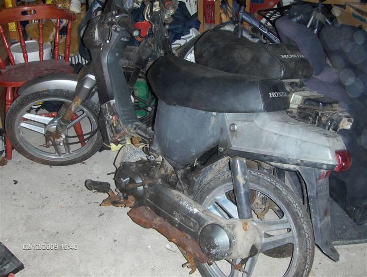 Honda Wallaroo SMIDT UD billede 2