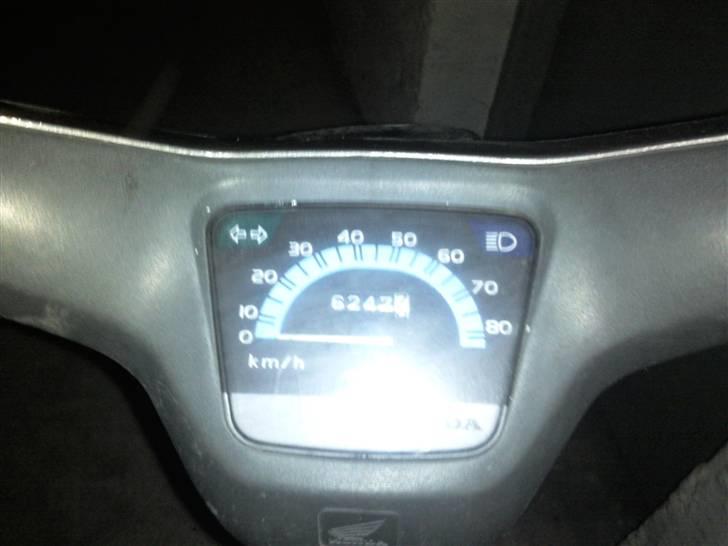 Honda Wallaroo SMIDT UD billede 3