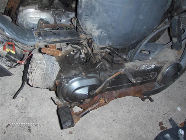 Honda Wallaroo SMIDT UD billede 5