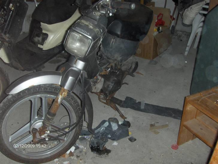 Honda Wallaroo SMIDT UD billede 6