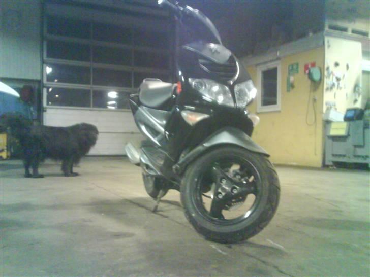 Peugeot speedfight2 billede 2