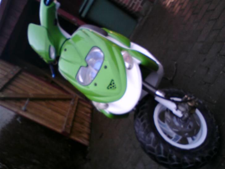 Gilera stalker byttet billede 1