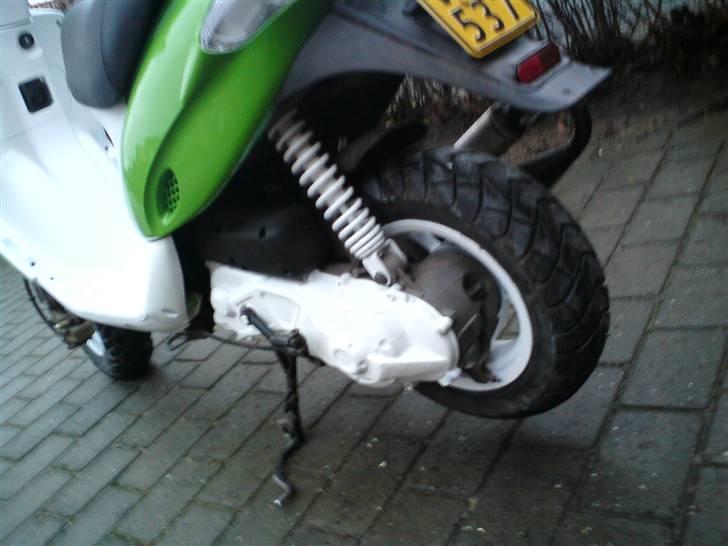 Gilera stalker byttet billede 4