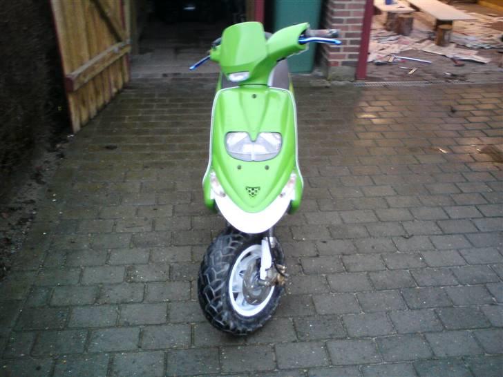 Gilera stalker byttet billede 6