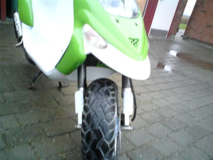 Gilera stalker byttet billede 7