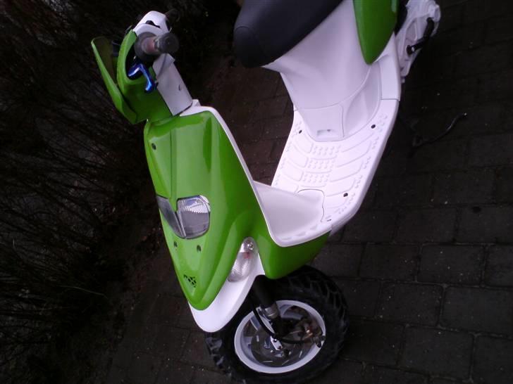 Gilera stalker byttet billede 8