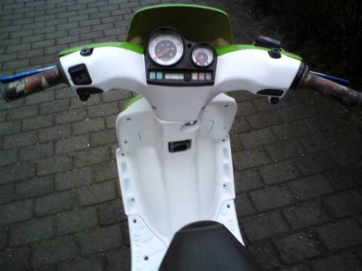 Gilera stalker byttet billede 9