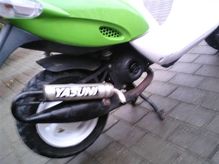 Gilera stalker byttet billede 10