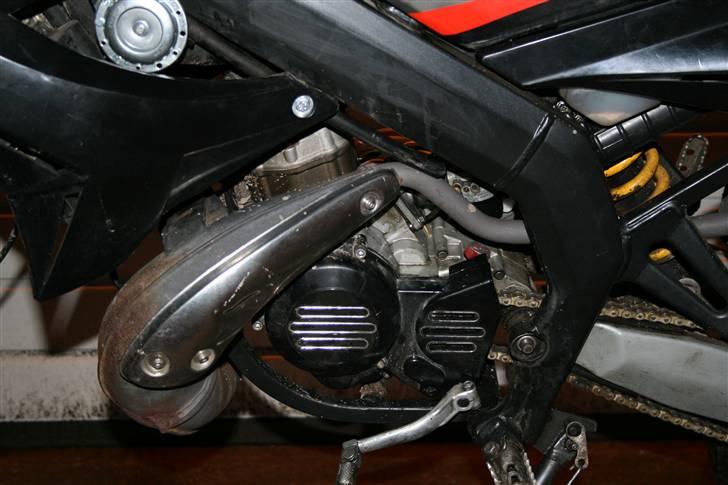 Derbi senda - dyret fra anden side billede 5