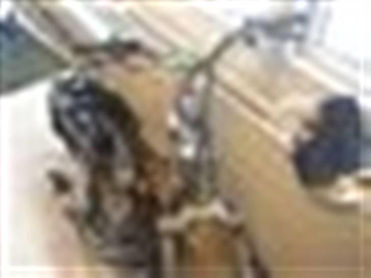 Yamaha slider..SOLGT..... billede 5