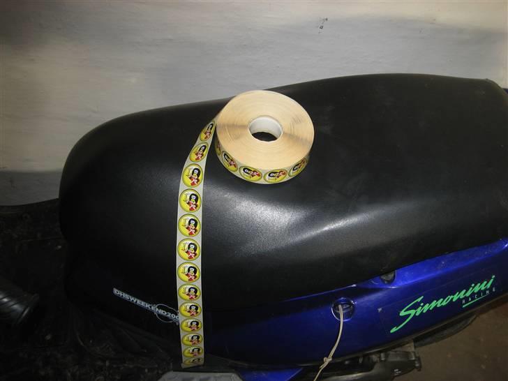 PGO dr big billede 6