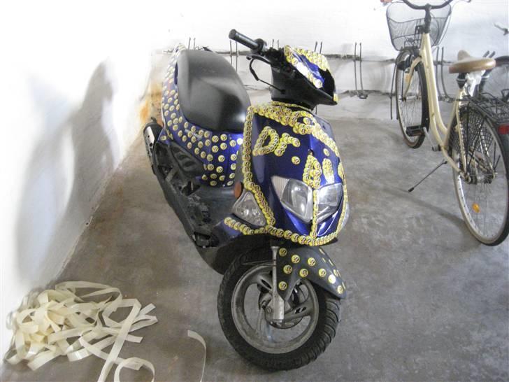 PGO dr big billede 8