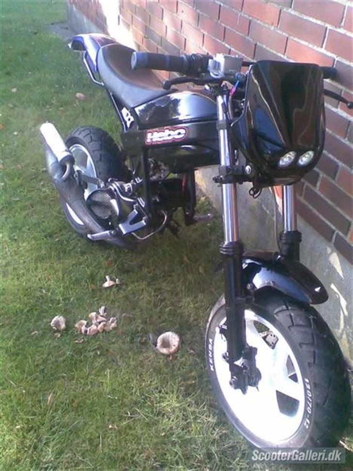 Suzuki Street magic  billede 10